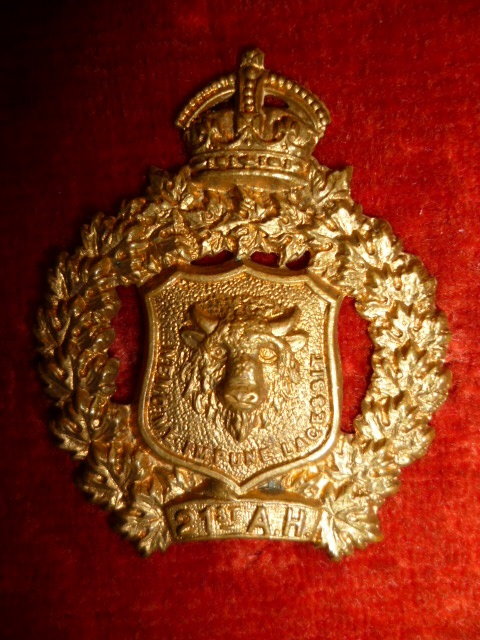 MC31 - 21st Alberta Hussars Collar Badge